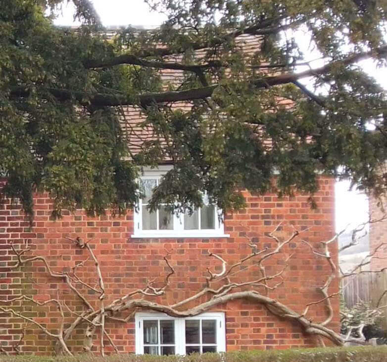 Sash windows in Tonbridge Newlands Joinery
