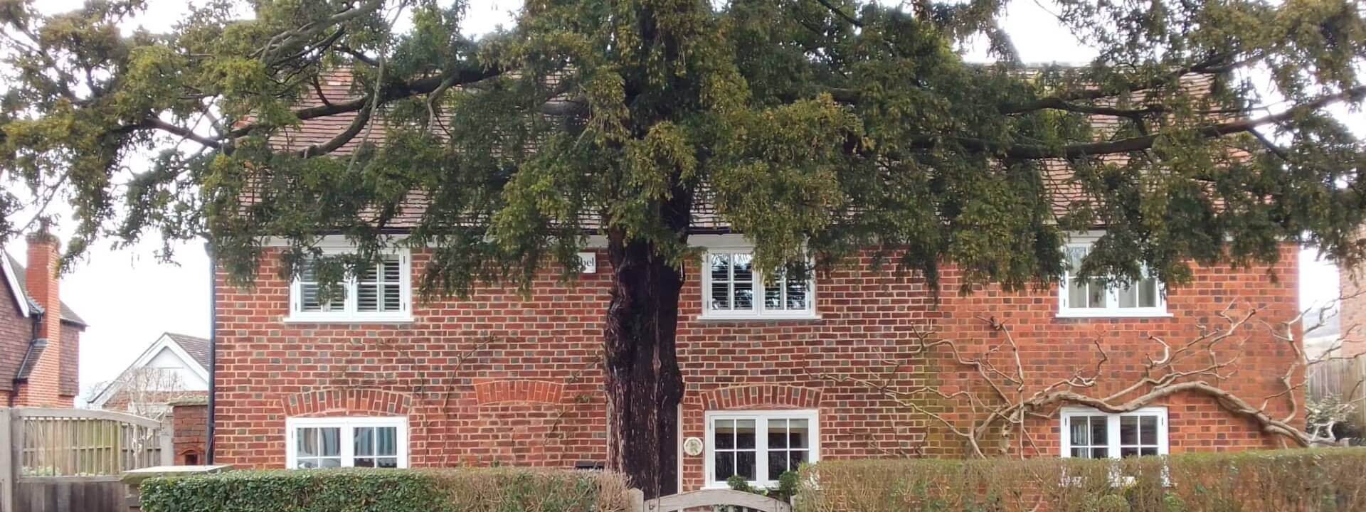 Timber Solutions with Accoya Wood